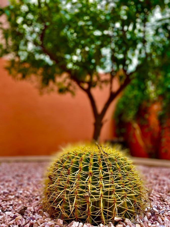 Villa Kalthoum Marrakesch Exterior foto
